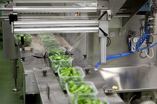 瓜果蔬菜全自動(dòng)脫水蔬菜包裝機(jī)