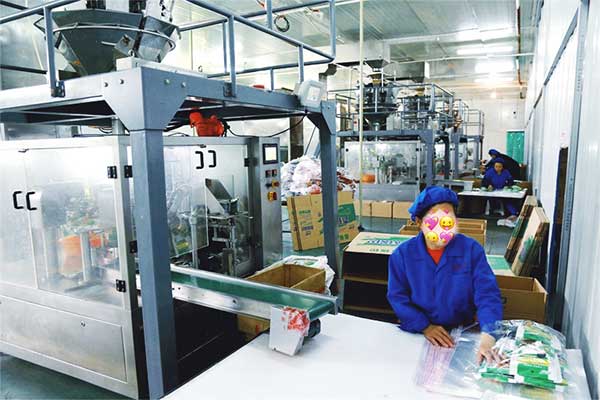 給袋式顆粒全自動(dòng)包裝機(jī)廠(chǎng)家